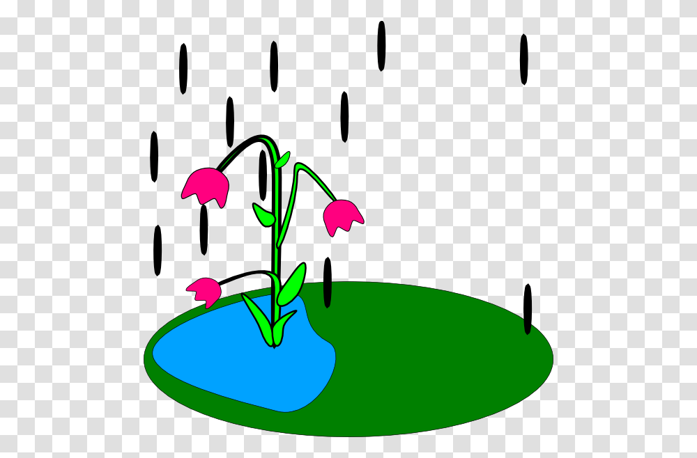 Wet Clip Art, Plant, Photography Transparent Png