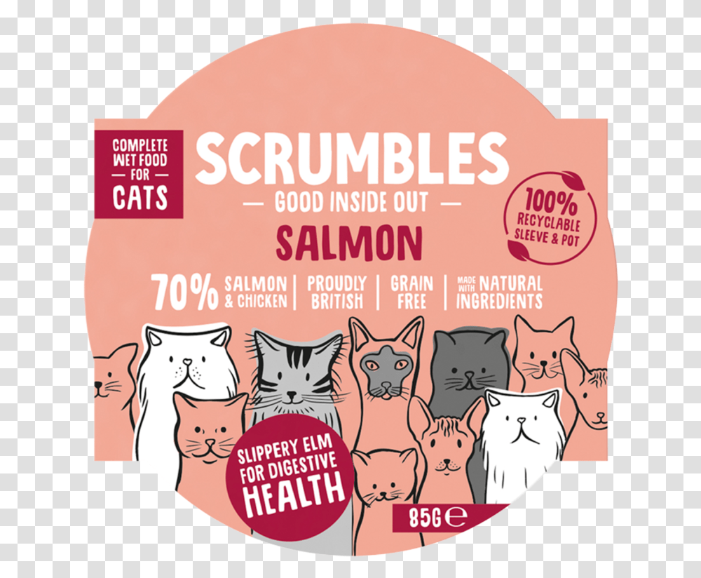 Wet Salmon Cat Scrumbles The Green Woof Cartoon, Advertisement, Poster, Flyer, Paper Transparent Png