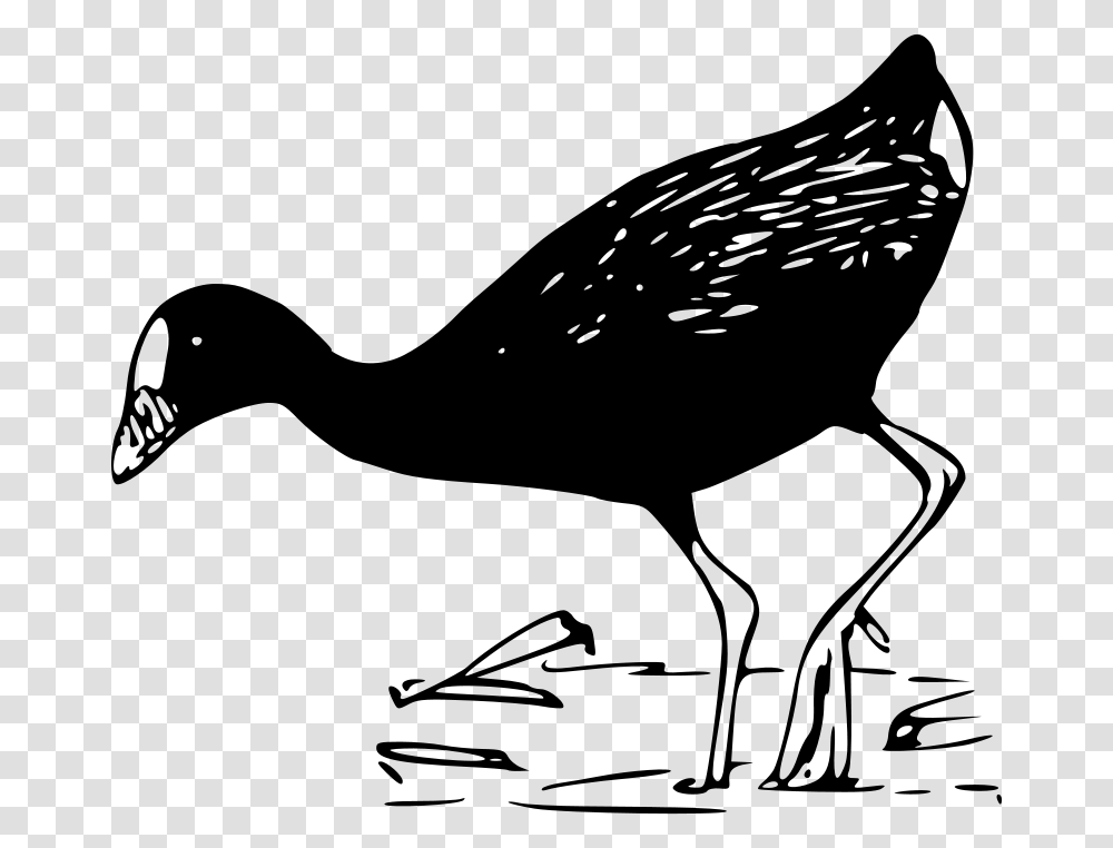 Wetlands Clipart Pato Blanco Y Negro, Gray, World Of Warcraft Transparent Png