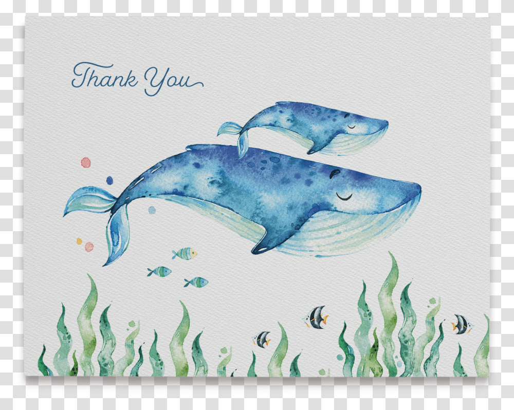 Whale 1 Thank You Cards Ocean Transparent Png