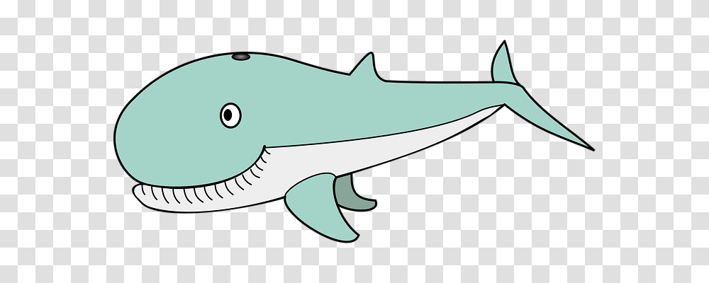 Whale Holiday, Shark, Sea Life, Fish Transparent Png