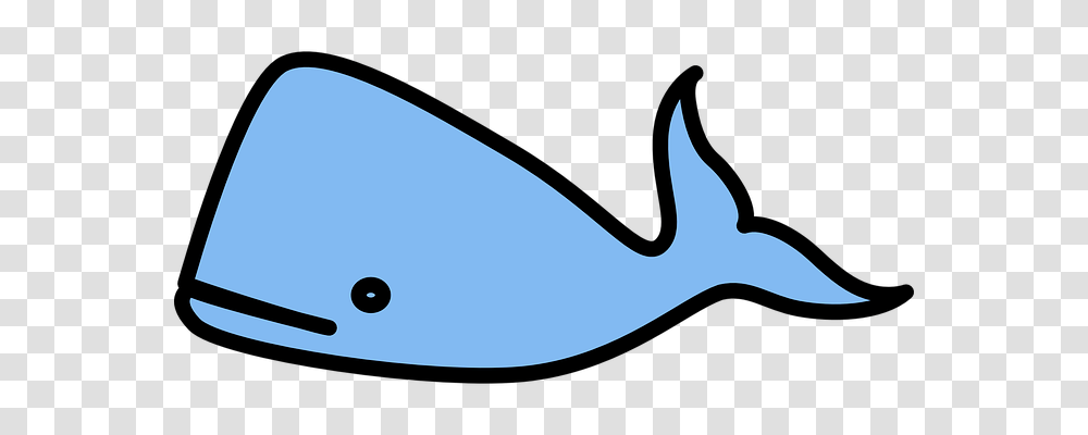 Whale Animals, Mammal, Sea Life, Shark Transparent Png