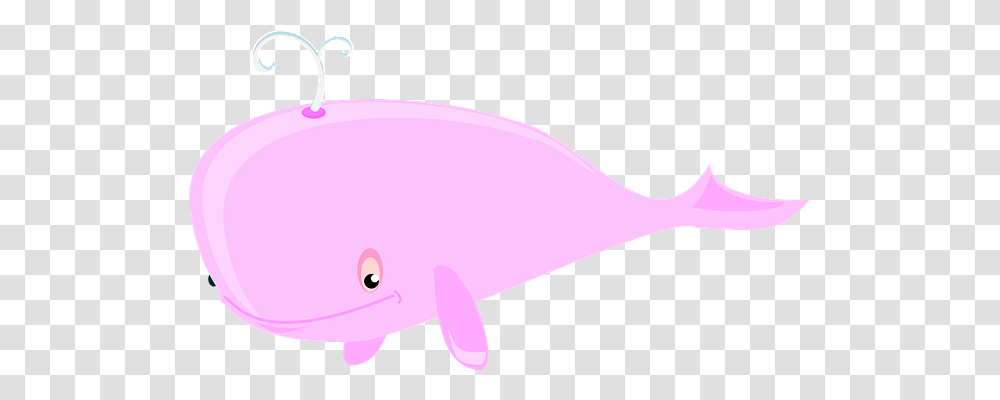 Whale Holiday, Sea Life, Animal, Mammal Transparent Png