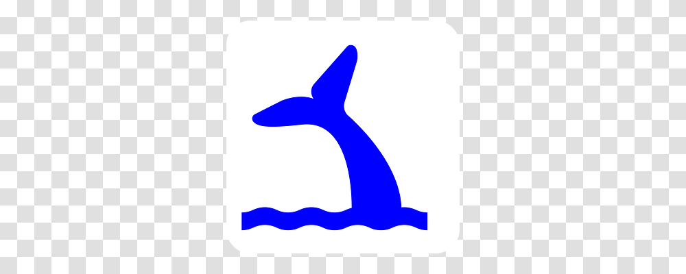 Whale Mammal, Animal, Sea Life, Shark Transparent Png