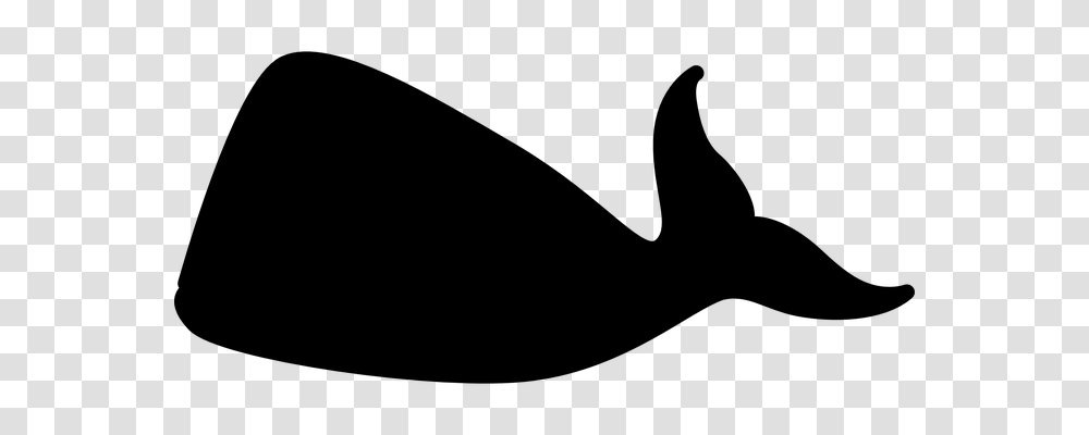 Whale Holiday, Gray, World Of Warcraft Transparent Png