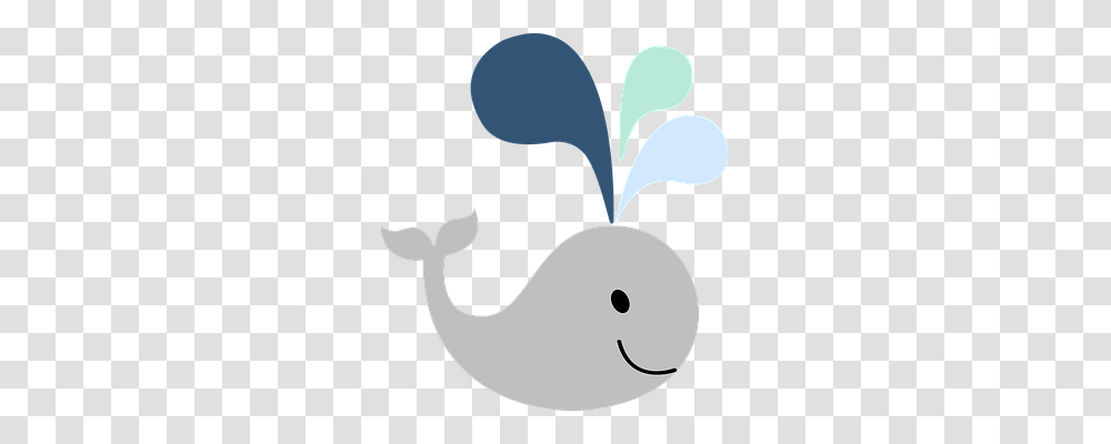 Whale Holiday, Animal, Mammal Transparent Png