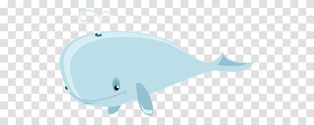 Whale Holiday, Sea Life, Animal, Mammal Transparent Png