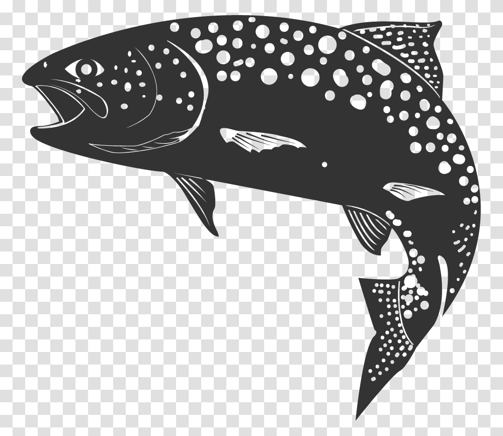 Whale, Animal, Fish, Mammal, Sea Life Transparent Png