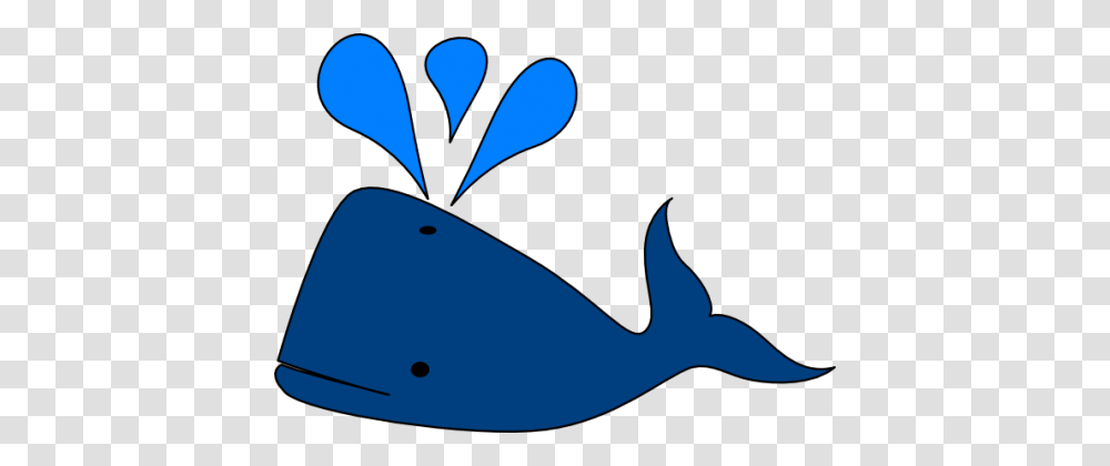 Whale, Animal, Mammal, Sea Life, Shark Transparent Png