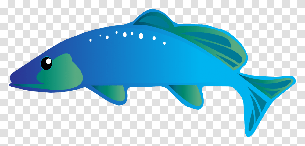 Whale, Animal, Shark, Sea Life, Fish Transparent Png