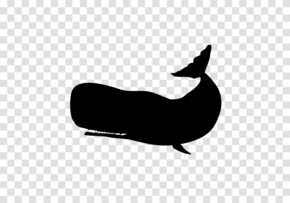 Whale Animal Silhouette Free Illustrations, Gray, World Of Warcraft Transparent Png