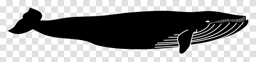 Whale, Animals, Gray, World Of Warcraft Transparent Png