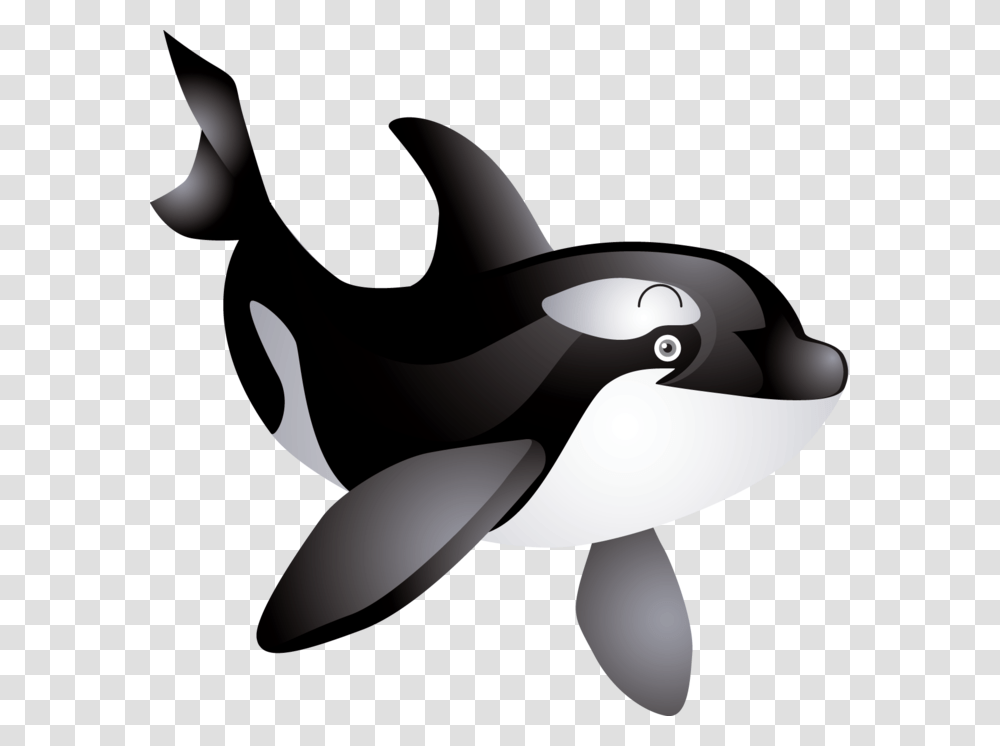 Whale, Animals, Sea Life, Mammal, Orca Transparent Png