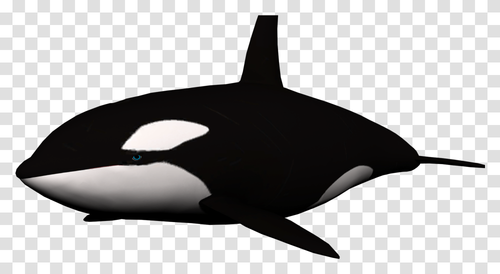 Whale Background, Orca, Mammal, Sea Life, Animal Transparent Png