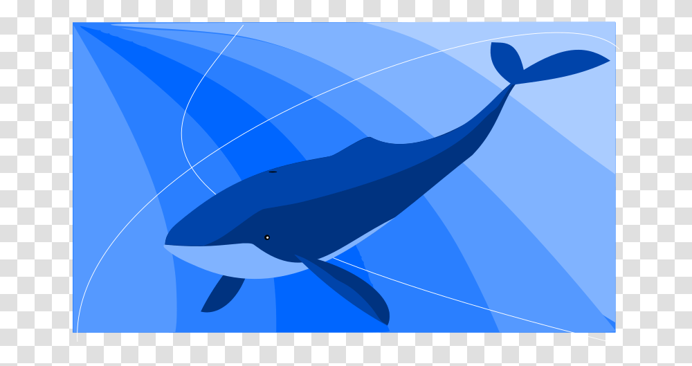 Whale Ballena Azul, Sea Life, Animal, Mammal, Dolphin Transparent Png