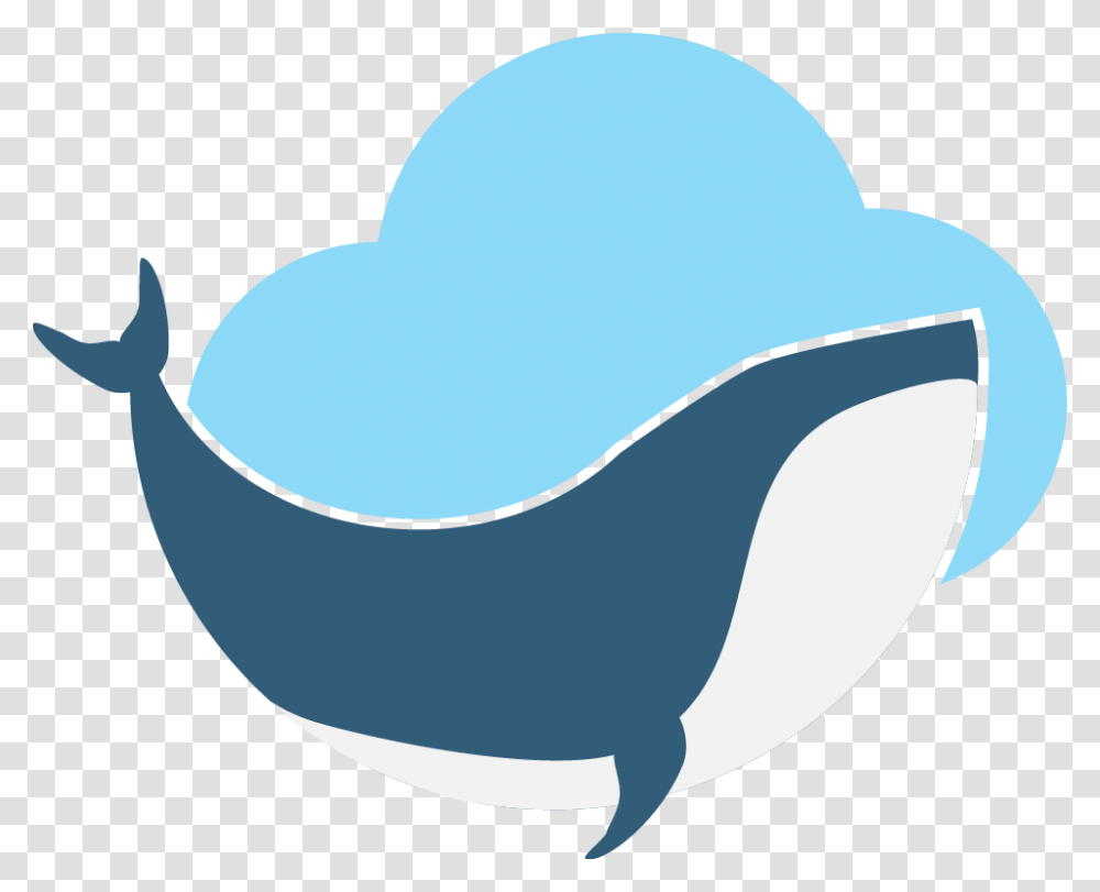 Whale, Baseball Cap, Apparel, Sea Life Transparent Png