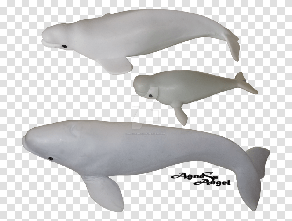 Whale Beluga Beluga Whale, Sea Life, Animal, Mammal, Dolphin Transparent Png