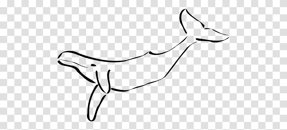 Whale Clip Art, Arm, Animal, Shark, Sea Life Transparent Png