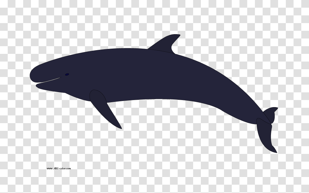 Whale Clip Art, Axe, Tool, Sea Life, Animal Transparent Png