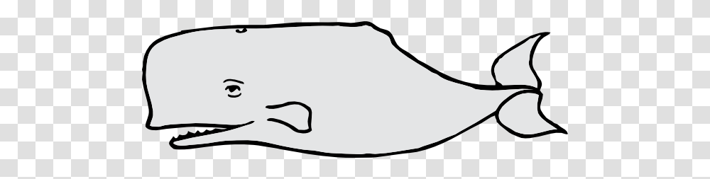 Whale Clip Art Free Vector, Hat, Hardhat Transparent Png