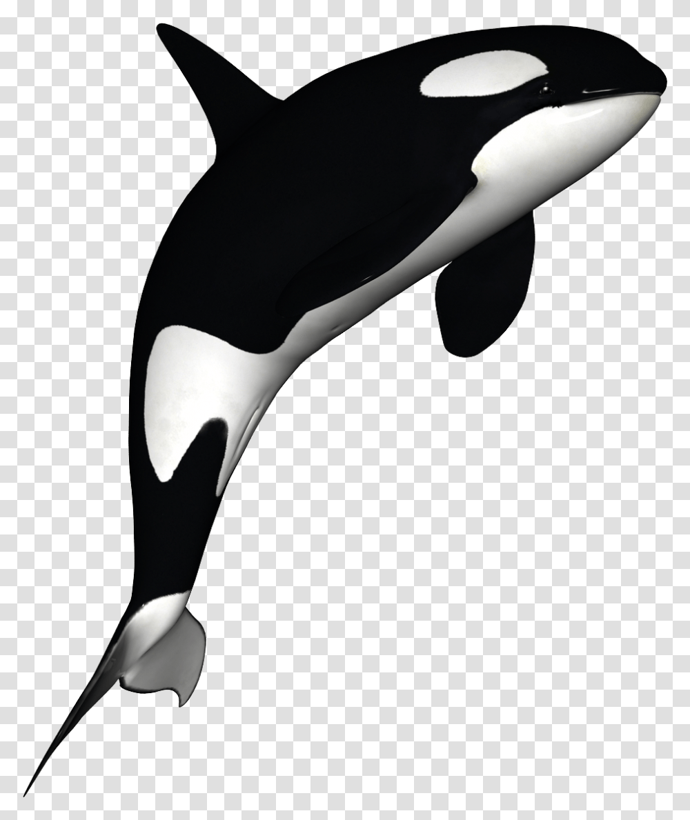 Whale Clip Art Orca With No Background, Animal, Mammal, Sea Life Transparent Png