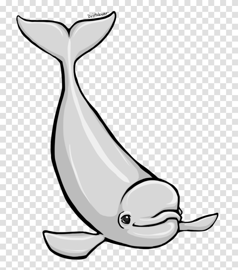 Whale Clip Art, Sea Life, Animal, Mammal, Dolphin Transparent Png