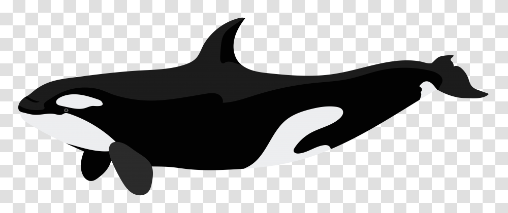 Whale Clip Art, Silhouette, Stencil Transparent Png