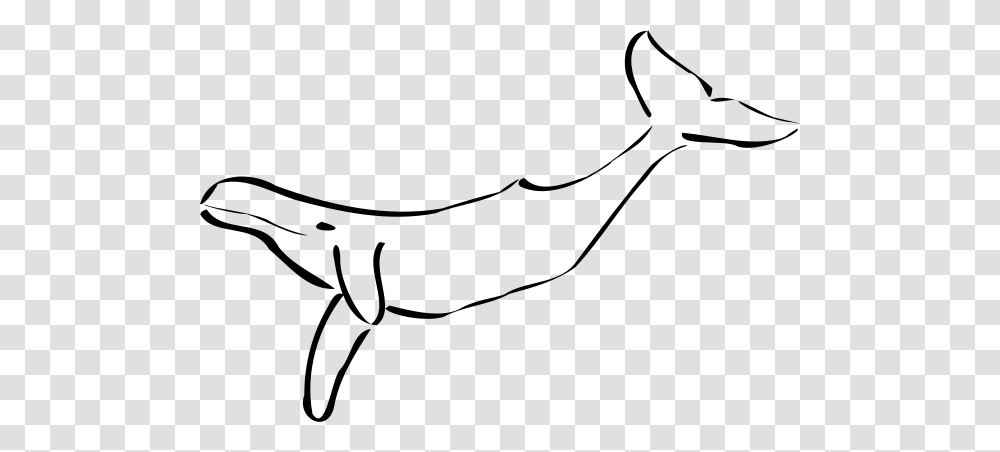 Whale Clip Arts For Web, Gray, World Of Warcraft Transparent Png