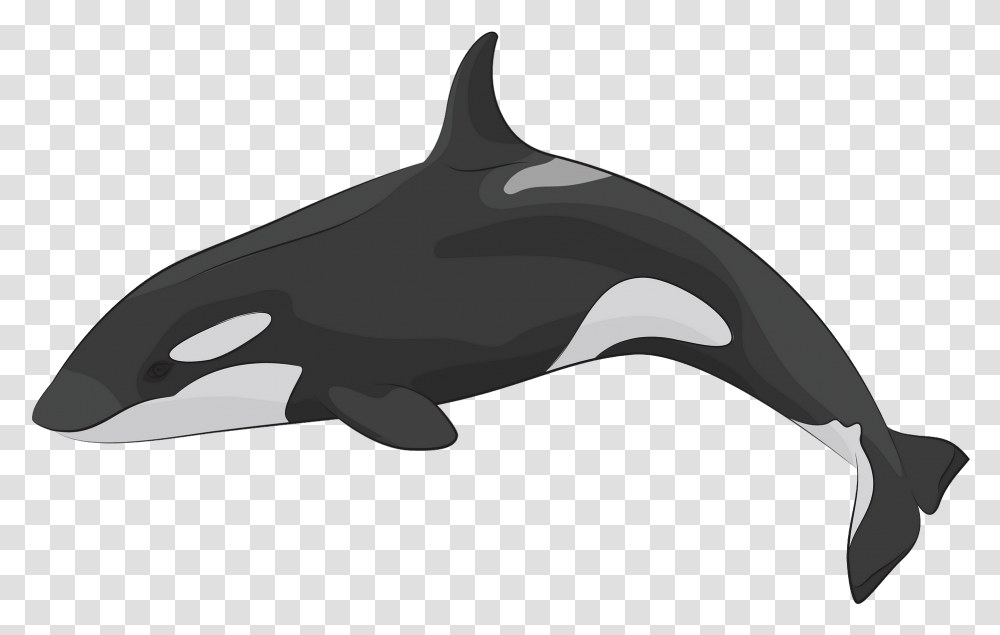 Whale Clipart, Axe, Tool, Sea Life, Animal Transparent Png