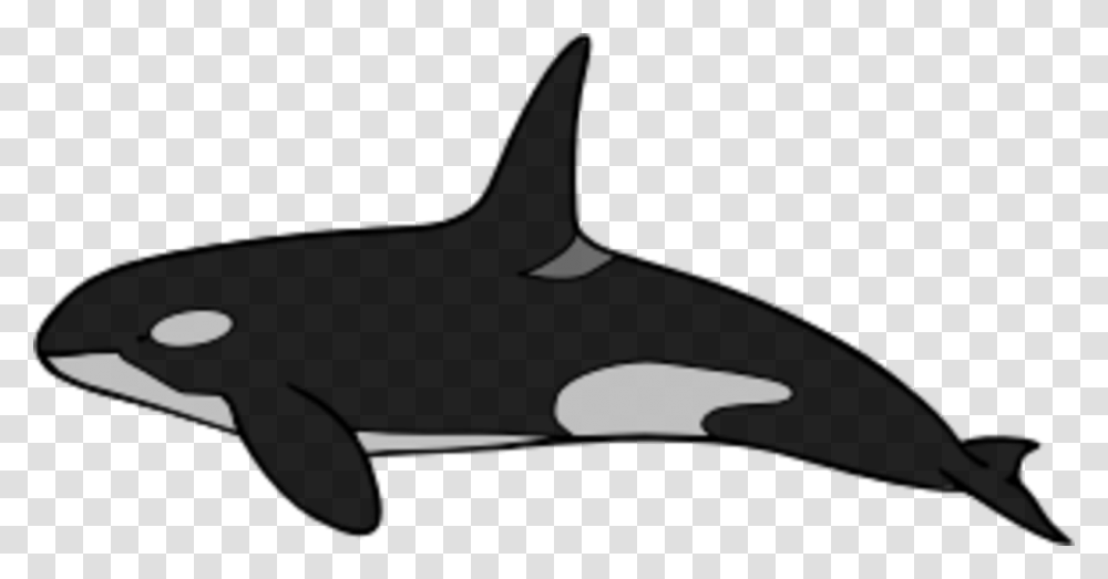 Whale Clipart Black And White Killer Whale, Silhouette, Outdoors, Sea Transparent Png