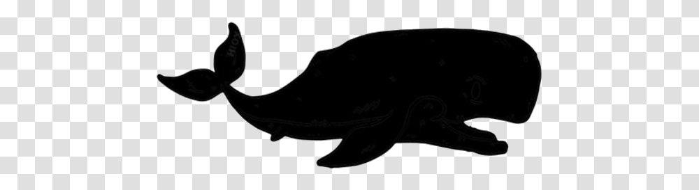 Whale Clipart Free Download Whale, Sunglasses, Accessories, Accessory Transparent Png