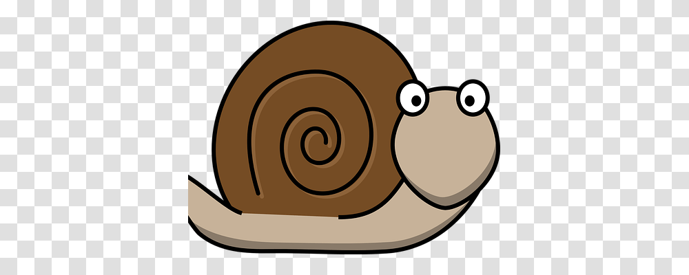 Whale Clipart Snail, Invertebrate, Animal Transparent Png