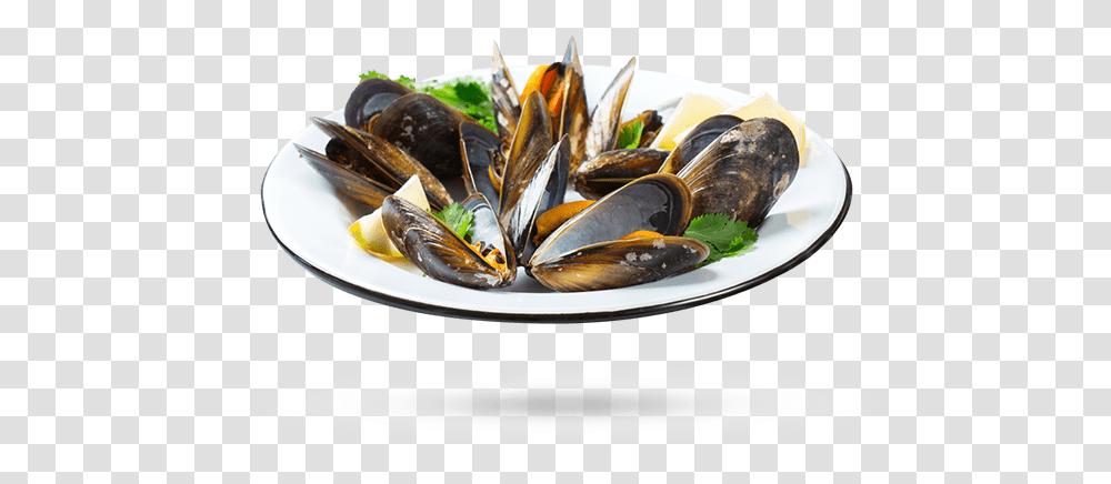 Whale Cove Mussels White Wine And Seafood, Clam, Seashell, Invertebrate, Sea Life Transparent Png