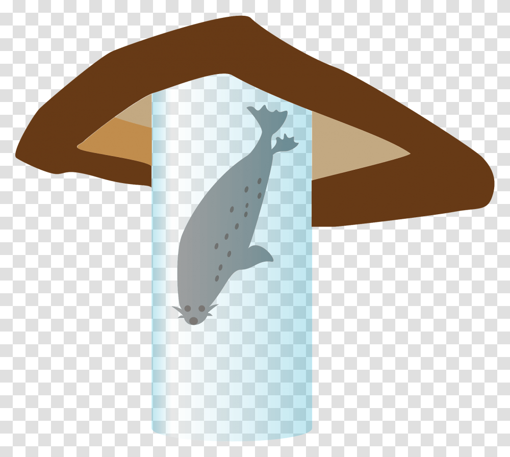 Whale, Dolphin, Mammal, Sea Life, Animal Transparent Png
