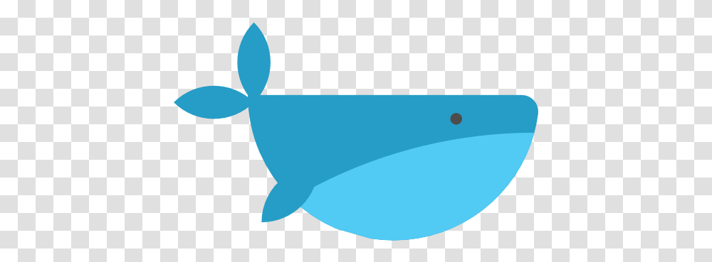 Whale Free Animals Icons Whale Icon, Sea Life, Mammal, Dolphin, Beluga Whale Transparent Png