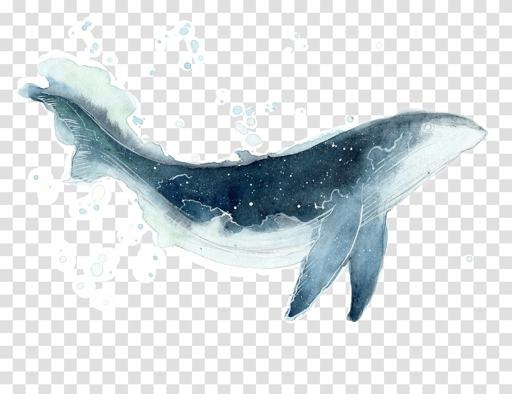 Whale Galaxy Watercolor Sticker By Luciacampos Whale Watercolor, Sea Life, Animal, Mammal, Shark Transparent Png
