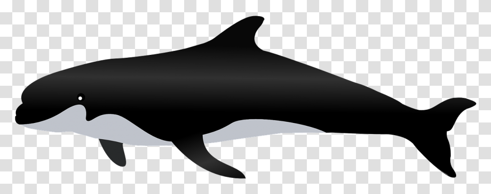 Whale Image With Background Killer Whale Animal, Sea Life, Mammal, Dolphin, Silhouette Transparent Png