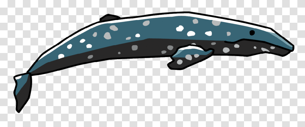 Whale Images Pictures Photos Arts, Animal, Amphibian, Wildlife, Sea Life Transparent Png