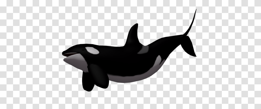 Whale, Sea Life, Animal, Mammal, Orca Transparent Png