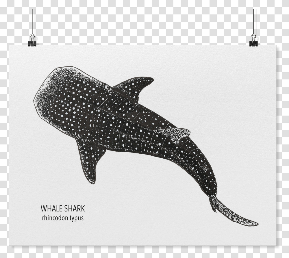 Whale Shark Art, Sea Life, Fish, Animal, Mammal Transparent Png