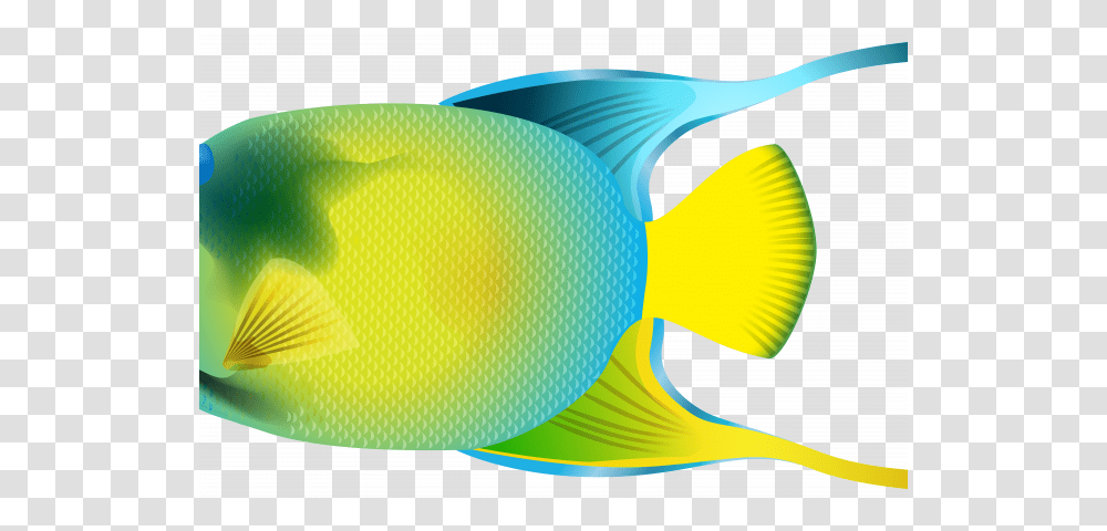Whale Shark Clipart, Angelfish, Sea Life, Animal, Rock Beauty Transparent Png