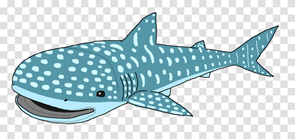 Whale Shark Clipart, Animal, Sea Life, Fish, Mammal Transparent Png