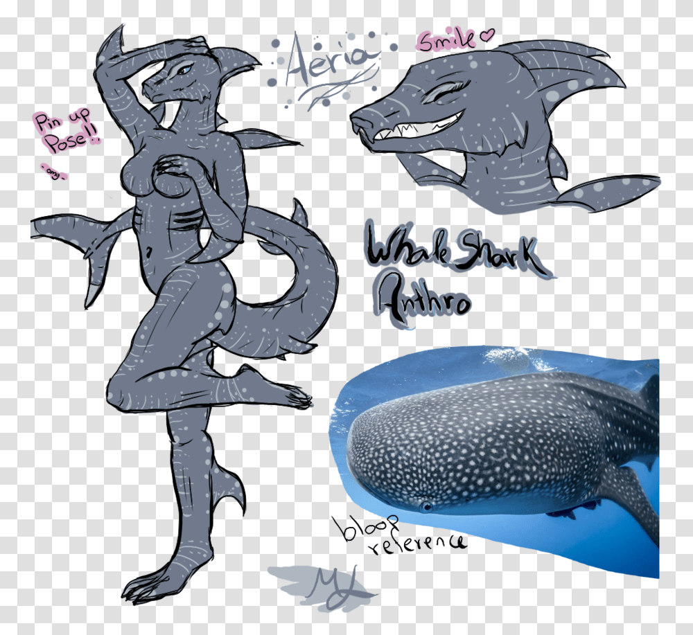 Whale Shark Clipart Furry Sexy Anthro Whale Shark, Helmet, Apparel, Fish Transparent Png
