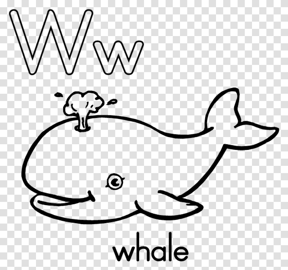 Whale Shark Clipart Paus Black And White Whale Clipart, Gray, World Of Warcraft Transparent Png