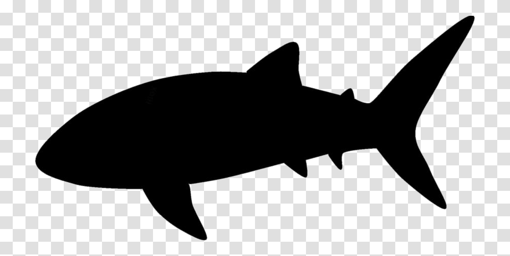 Whale Shark Clipart Whale Shark Image, Fish, Animal, Bow, Sea Life Transparent Png