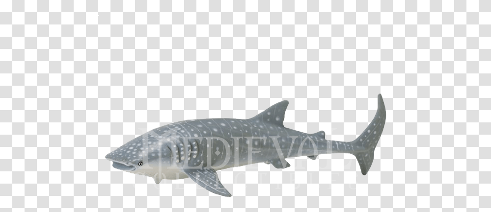 Whale Shark, Fish, Animal, Sea Life, Airplane Transparent Png