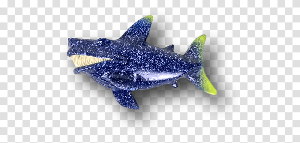 Whale Shark, Sea Life, Animal, Mammal, Fish Transparent Png