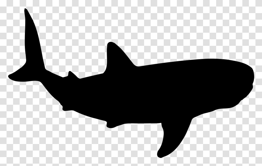 Whale Shark Shape Icon Free Download, Sea Life, Fish, Animal, Silhouette Transparent Png
