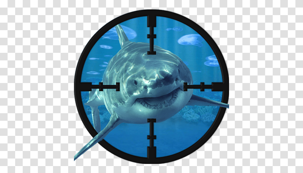Whale Shark Sniper Shooting Hunting Clipart, Sea Life, Fish, Animal, Great White Shark Transparent Png