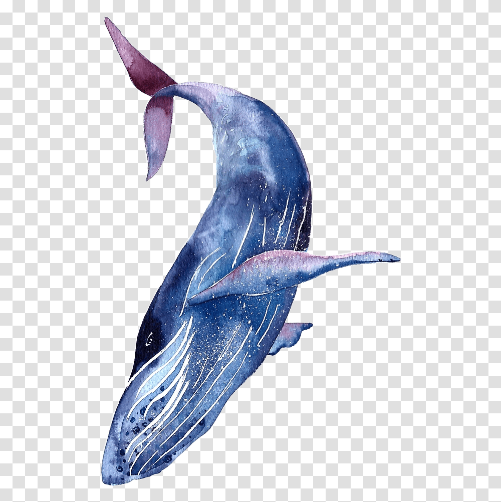 Whale Shark Tattoo Humpback Blue Whale Watercolor, Dolphin, Mammal, Sea Life, Animal Transparent Png